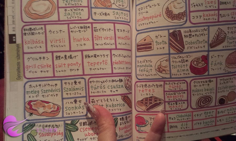 magyar nyelvkönyv japánul